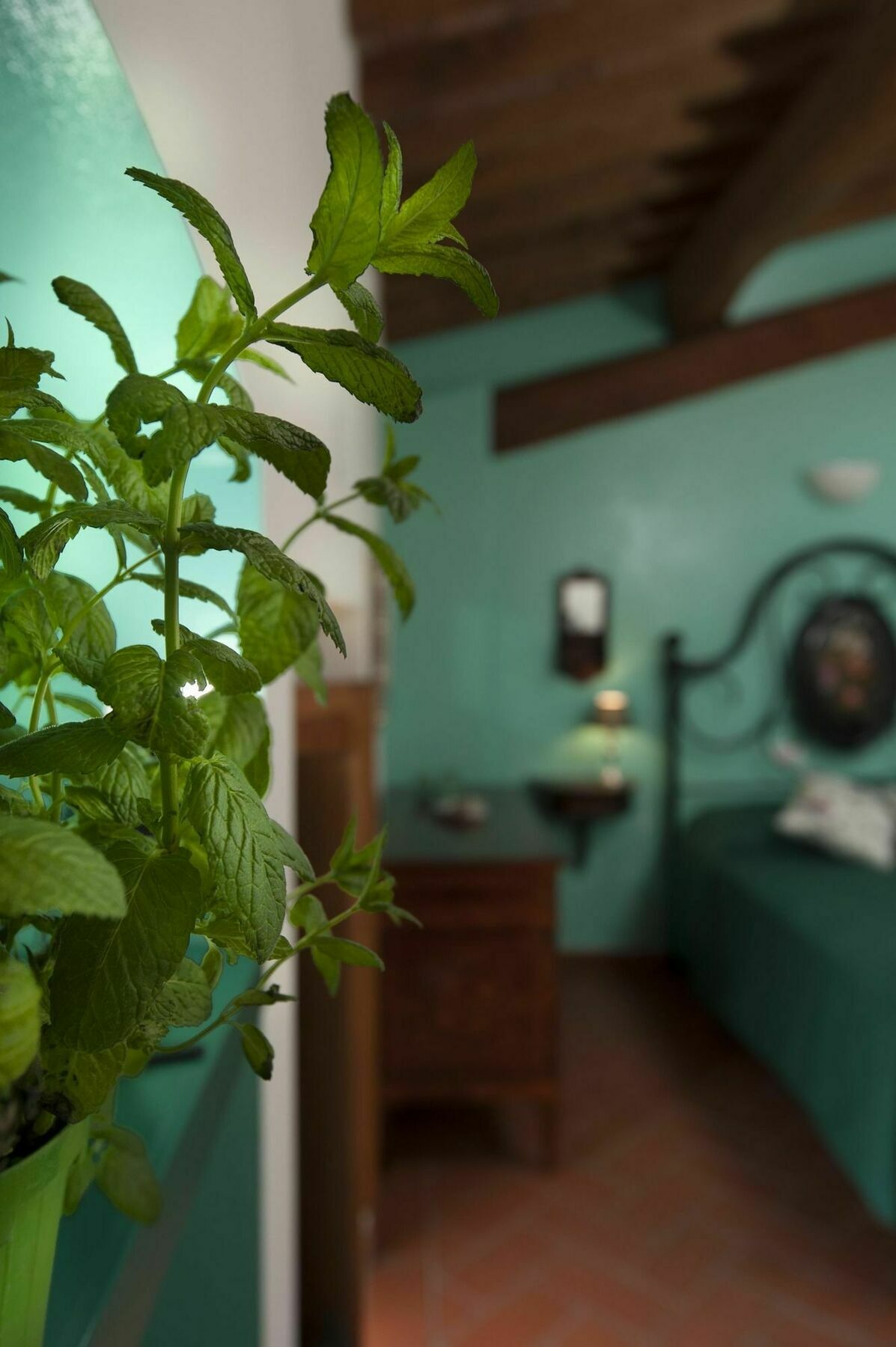 Antico Granaione Bed & Breakfast Rapolano Terme Exterior photo