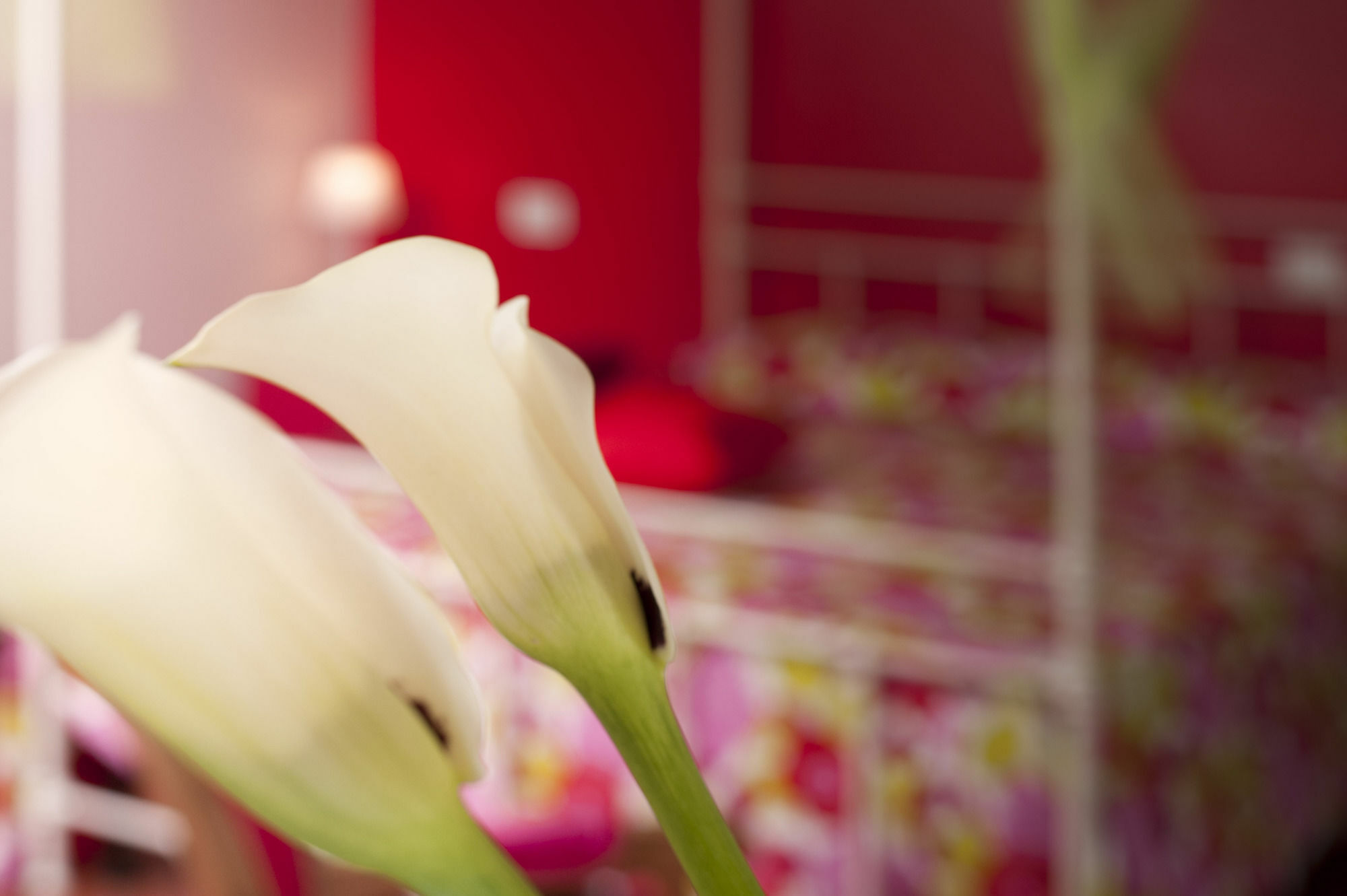 Antico Granaione Bed & Breakfast Rapolano Terme Exterior photo